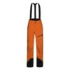 Peak Performance - Alpine Pants Women - Gore-Tex Skihose